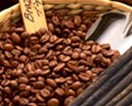 コーヒー生豆